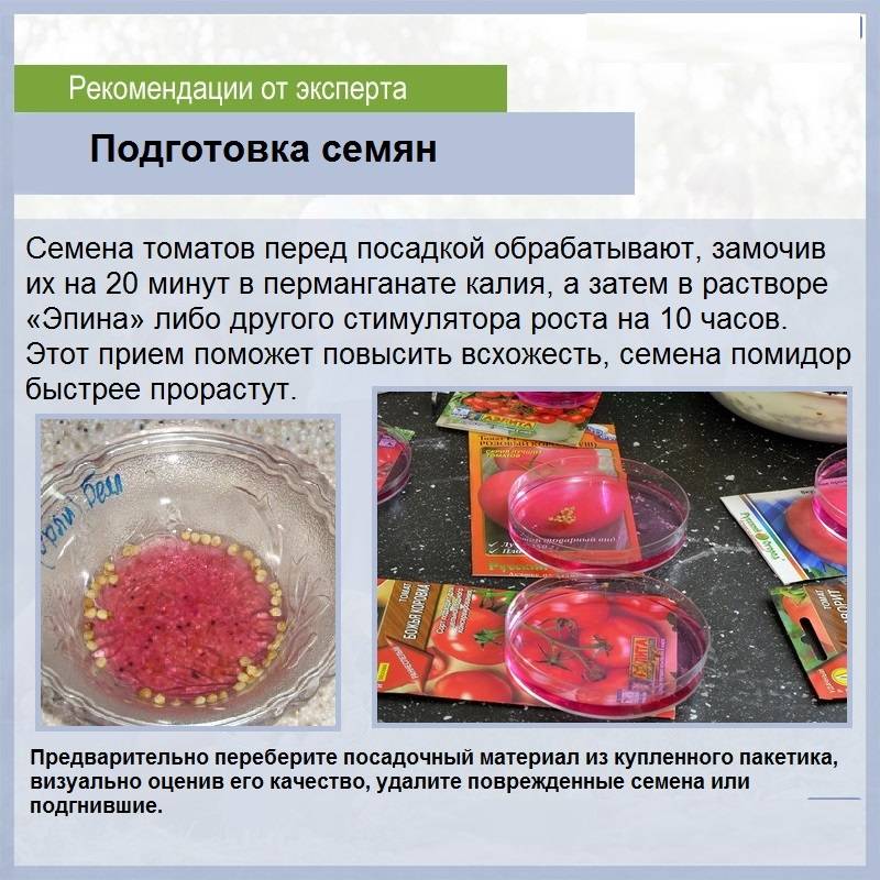 Китайский способ выращивания рассады томатов: в чем его секрет? на supersadovnik.ru