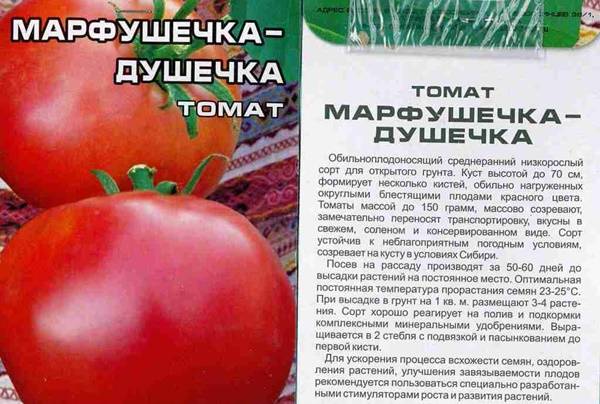 Сад-томат