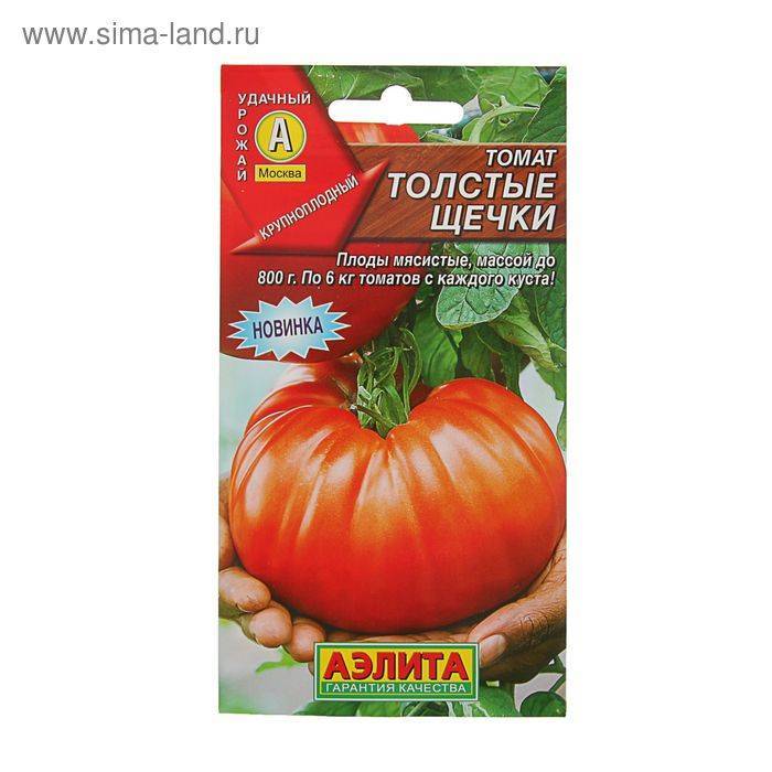 Голландский тепличный плод — томат толстой f1: описание сорта, отзывы дачников