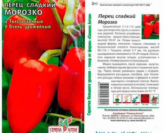 Сорт для теплиц — томат сицилийский перчик: отзывы об урожайности помидоров, описание куста