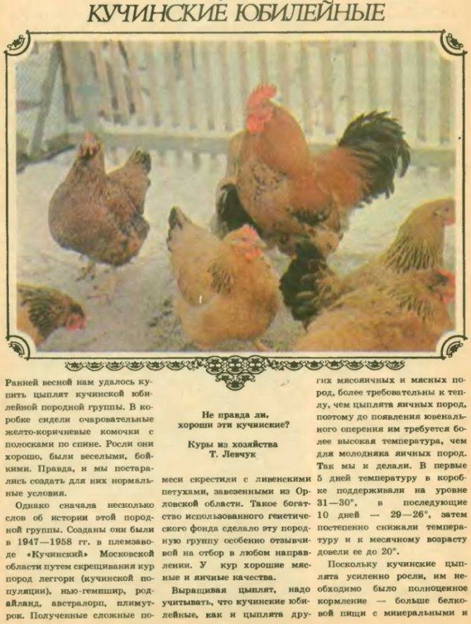 Калорийность курица, цыплята-бройлеры, белое мясо с кожей, приготовленные, обжаренные в кляре. химический состав и пищевая ценность.