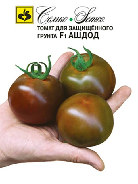 Томат ашдод: описание сорта, фото, выращивание