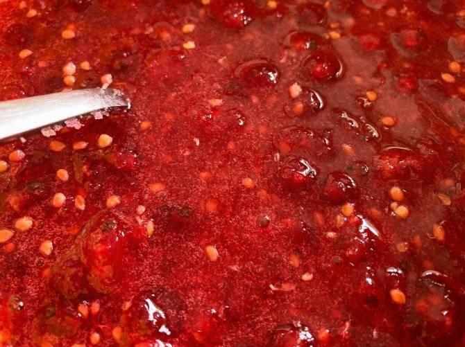 Соус из красной смородины на зиму: можно ли подавать к мясу и рыбе и какие есть рецепты, есть ли бесподобный способ приготовления кетчупа, как он хранится