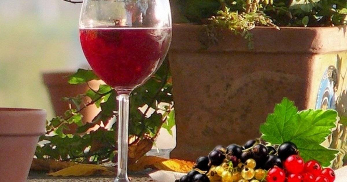 Приготовление плодово-ягодных вин в домашних условиях