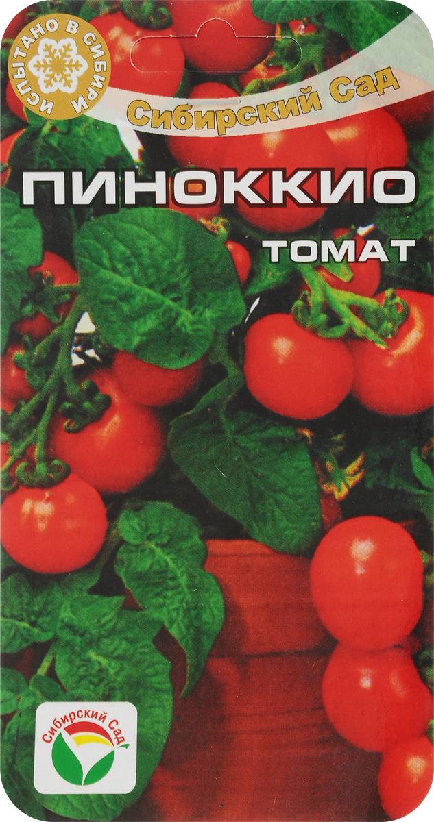 Тонкости выращивания и характеристика томата пиноккио