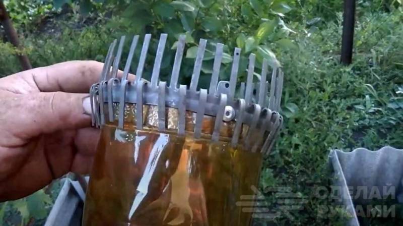 Приспособление для сбора вишни из бутылки своими руками за 5 мин