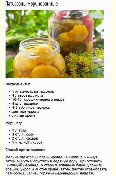 Готовим впрок! лучшие рецепты летних заготовок на зиму от womanasks.ru