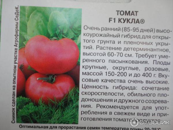 Описание сорта томата помисолька, его характеристика и урожайность