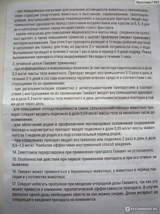 Гамавит для кошек: инструкция по применению, состав, аналоги