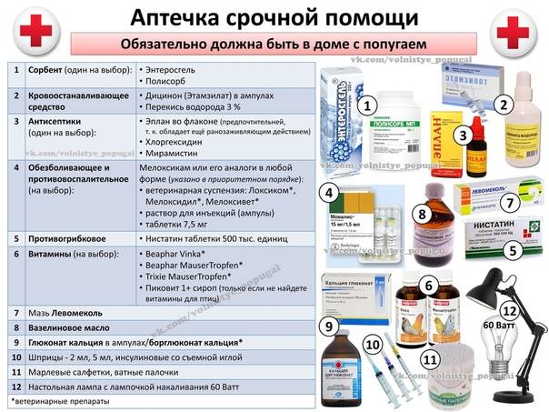 Список препаратов для кроликов и их назначение, что еще должно быть в аптечке