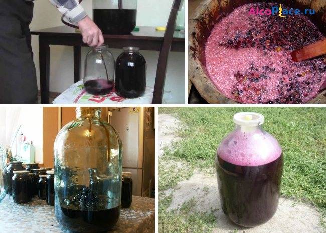 Домашнее вино из ягод: рецепты лёгких и креплёных ягодных напитков