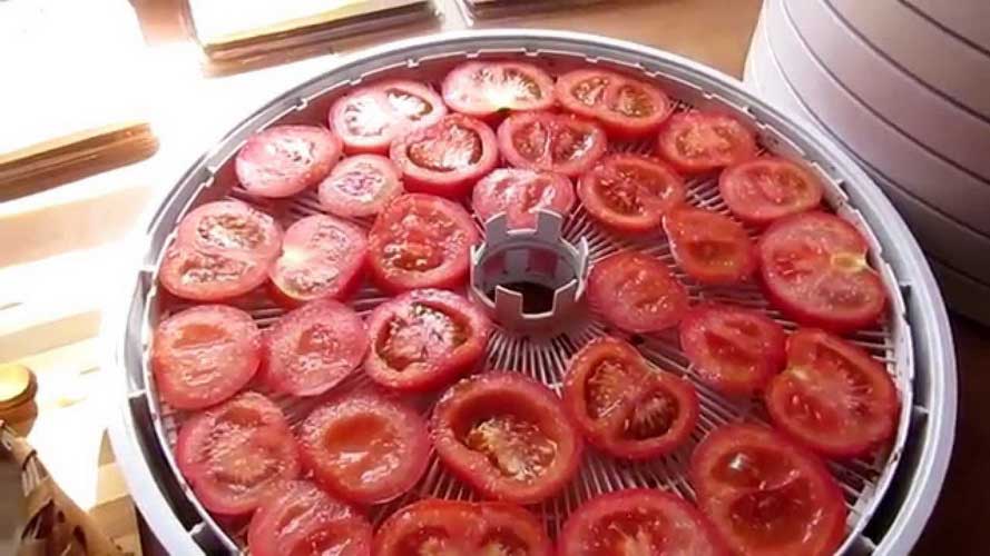 Как сушить помидоры в электросушилке? как хранить сушёные помидоры