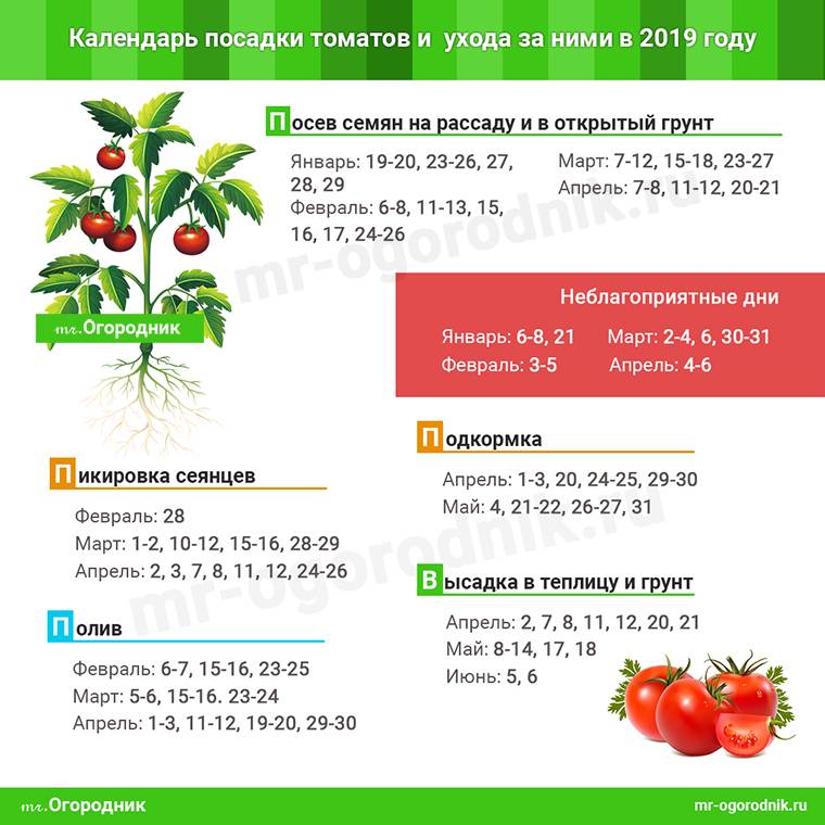 Сроки посадки помидор по лунному календарю 2021 года в различных регионах россии