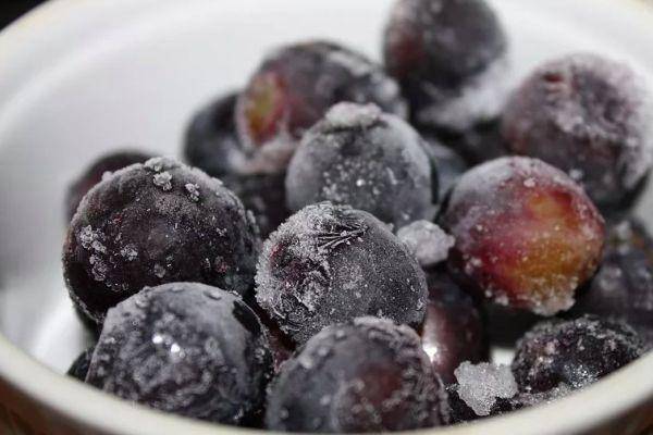 Виноград на зиму: как правильно заморозить, секреты и рецепты