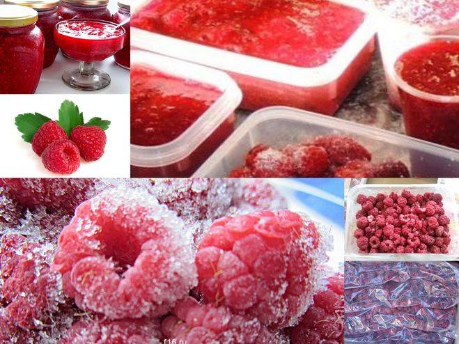 Как заморозить малину на зиму, рецепты с сахаром и без, сколько хранить в морозилке