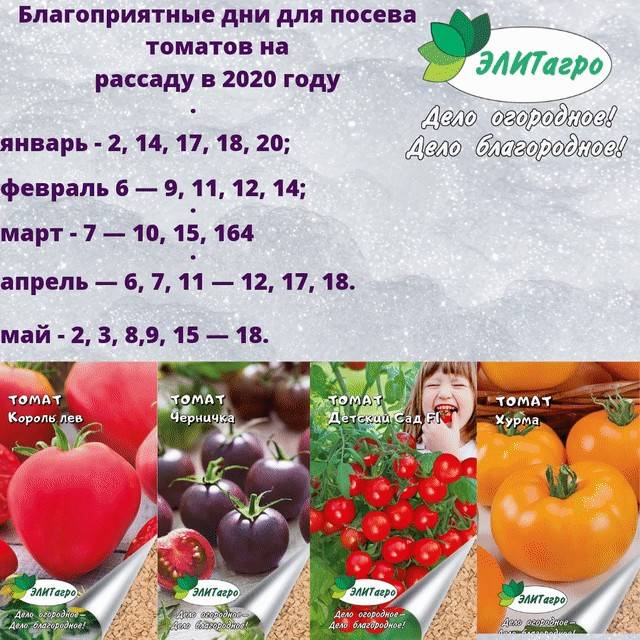 Когда сажать помидоры на рассаду в 2021 году по лунному календарю на урале: таблица
