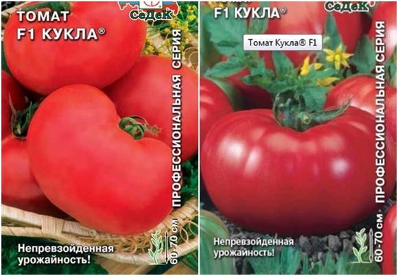 Характеристика и описание сорта томата Кукла f1, его урожайность