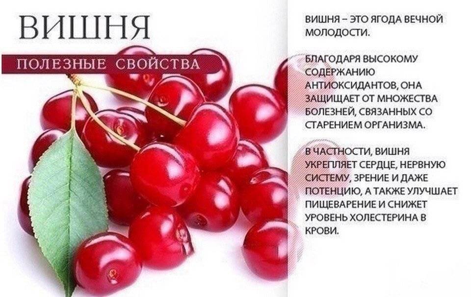 Черешня: калорийность, полезные свойства, противопоказания