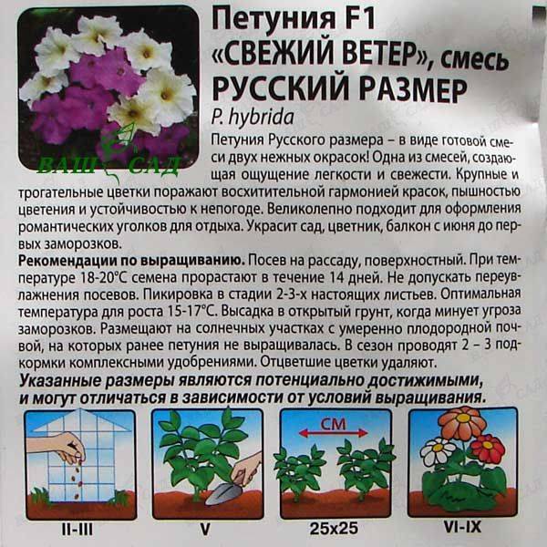 Петунии: выращивание, посадка, виды рассады и особенности ухода - sadovnikam.ru