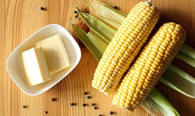 Кукуруза — польза и вред для здоровья, свойства и противопоказания