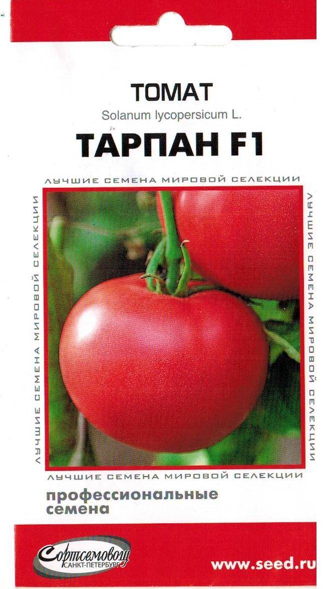 Томат тарпан: отзывы, фото, урожайность, описание и характеристика | tomatland.ru