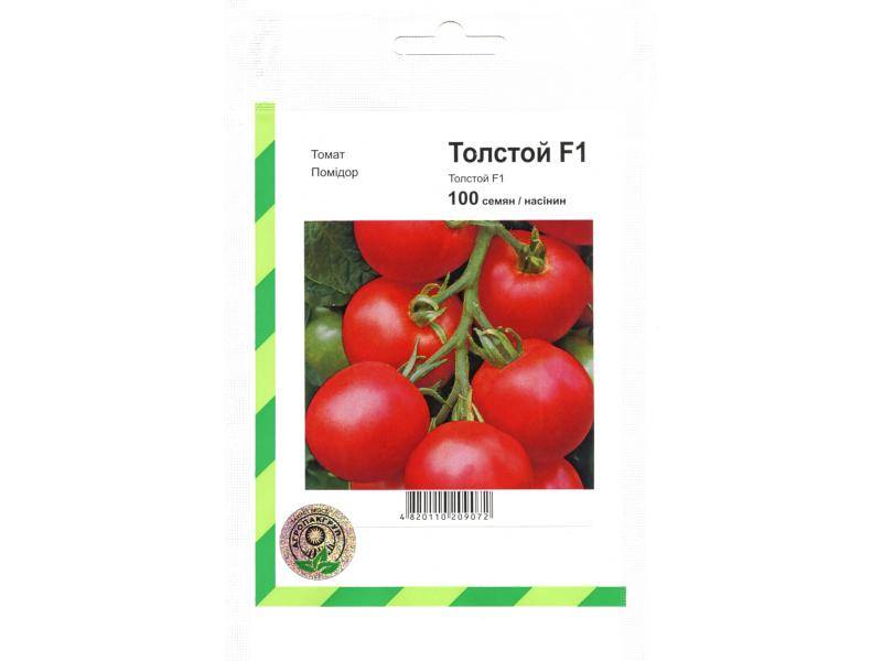 Томат толстый сосед f1: характеристика и описание сорта с фото, урожайность помидора, отзывы