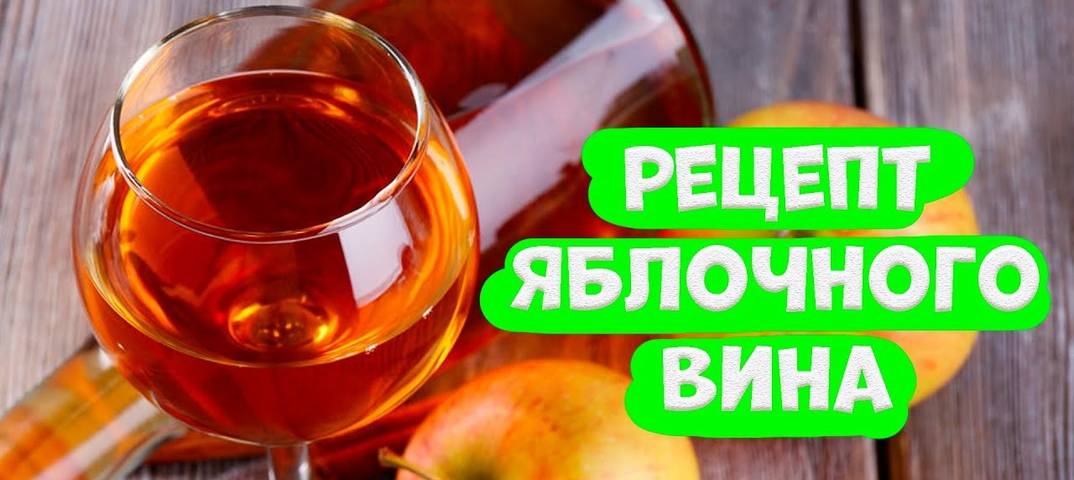 Вино из яблок — 7 простых рецептов в домашних условиях