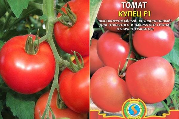 Лучшие сорта помидоров для кировской области - огородик