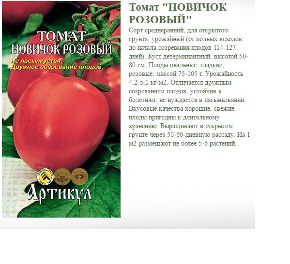 Низкорослый, но весьма плодородный польский томат — пани яна: подробное описание сорта