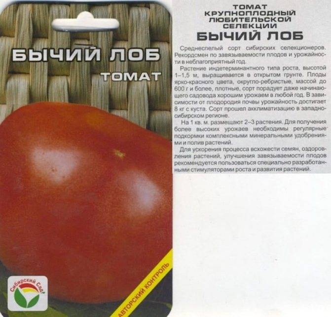 Описание сорта томата князь серебряный, особенности выращивания и ухода