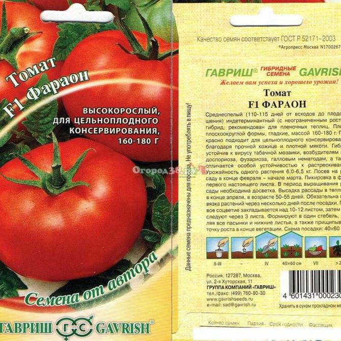 Высокорослые помидоры - посадка, уход, подкормки