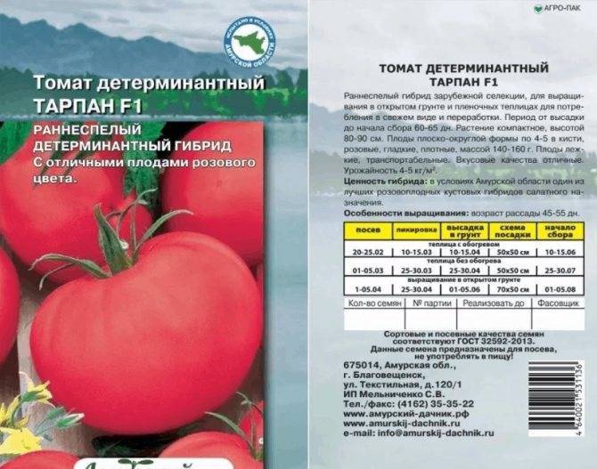 Самые лучшие и урожайные сорта помидор для выращивание в теплицах на урале с описанием