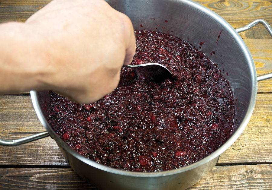 Как приготовить вино из винограда — 5 домашних простых рецептов