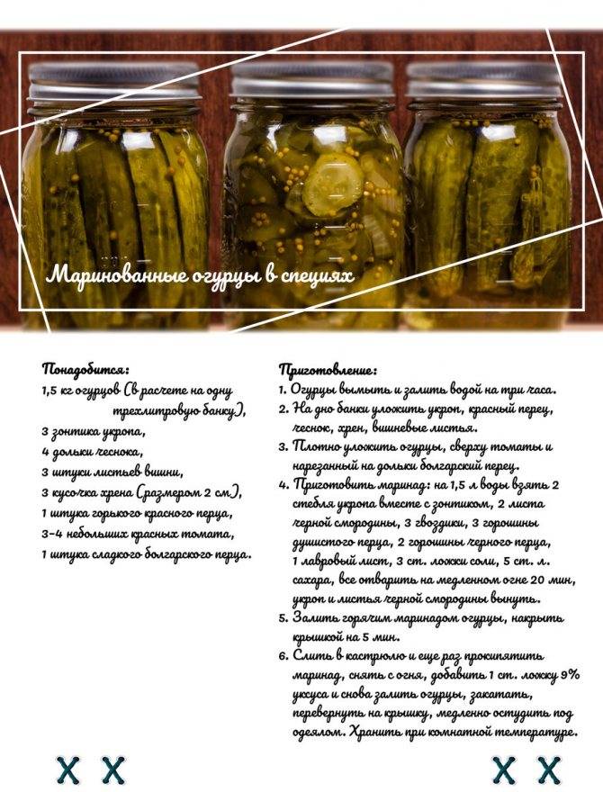 Маринованные кабачки на зиму: простые и вкусные рецепты