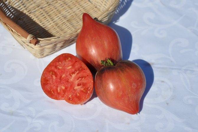 Красивый сорт — томат корейский длинноплодный: описание помидоров и характеристики