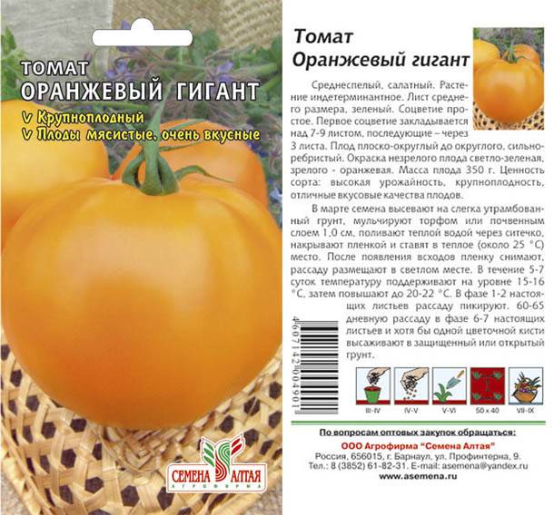 Томат гигант маслова: фото помидоров, описание сорта, отзывы об урожайности растения