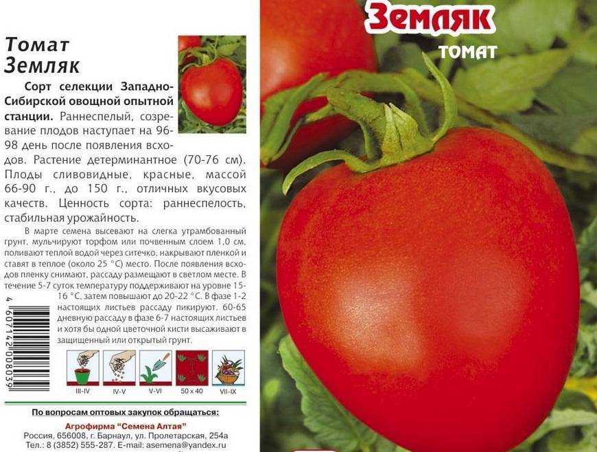 Сорт томата «русская душа»: фото, видео, отзывы, описание, характеристика, урожайность