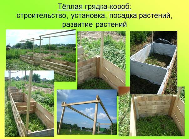 Тёплая грядка для огурцов своими руками: пошаговая инструкция