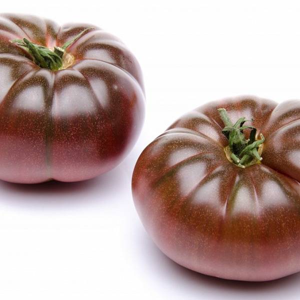 Привередливый, но очень вкусный — томат зефир в шоколаде: описание сорта и характеристики
