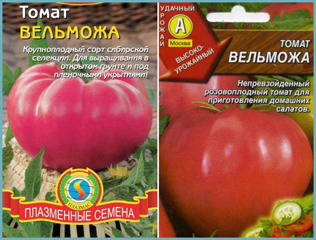 Томат изобильный f1: характеристика и описание сорта, отзывы об урожайности помидоров, фото семян