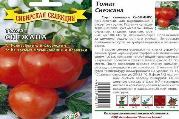 Описание сорта томата Орлец, особенности выращивания и урожайность