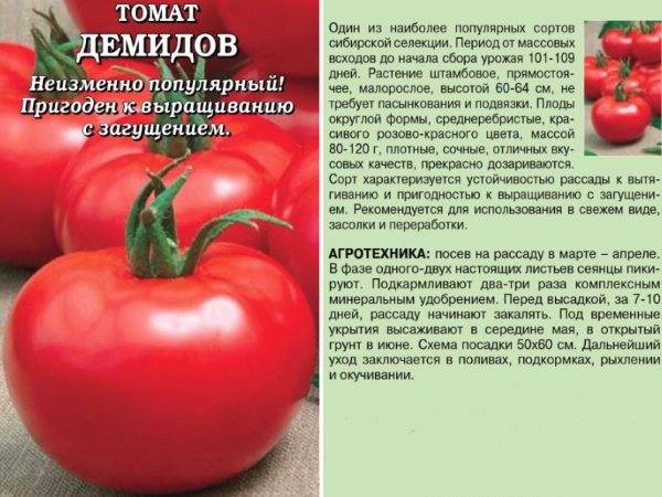 Томаты серии"гном томатный"... моё знакомство с сортами.: дневник пользователя васильева68