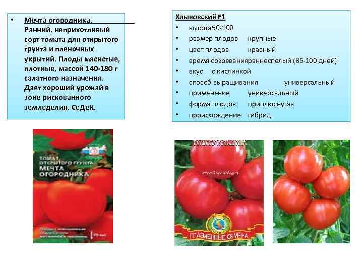 Томат мечта огородника: характеристика и описание сорта с фото, урожайность помидора, отзывы