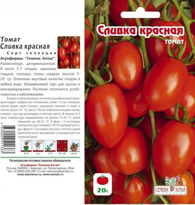 Томат оранж: характеристика и описание сорта, особенности выращивания – все о помидорках