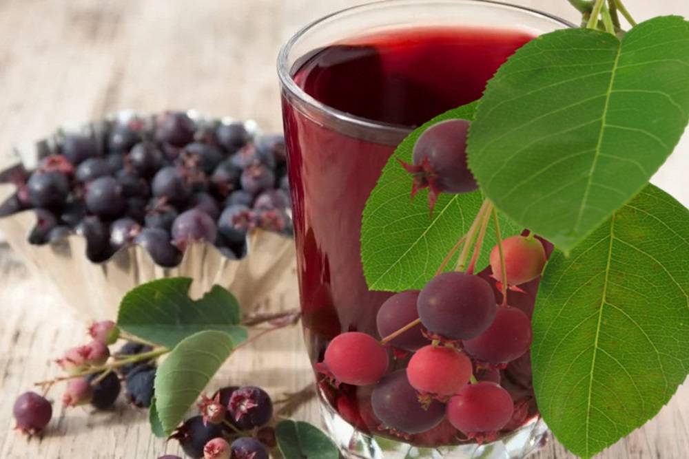 Вино из яблок — 12 простых рецептов в домашних условиях