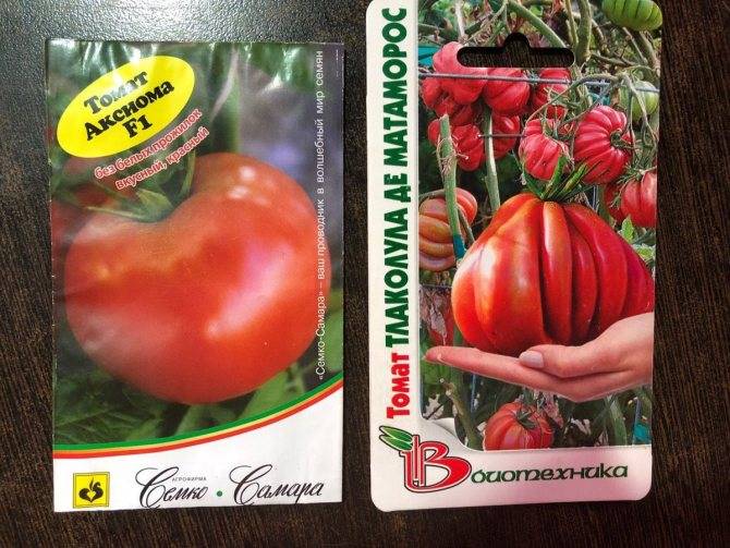 Томат ирма: характеристика и описание сорта, фото семян, отзывы тех кто сажал помидоры об их урожайности