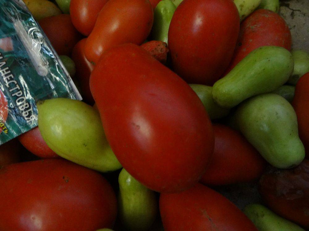 Томат "новинка приднестровья": описание сорта, фото, способ употребления помидоров