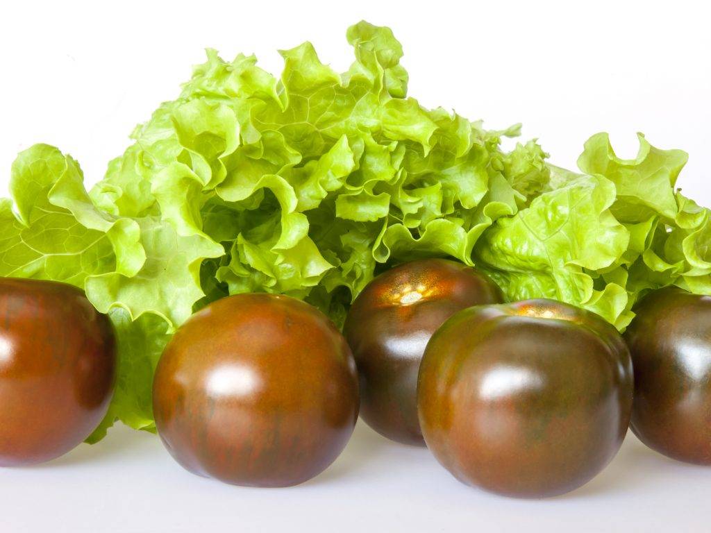 Оригинальный сорт с «шоколадными» плодами — томат кумато: характеристика и описание