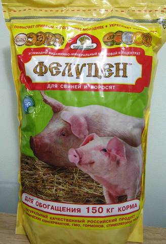 Чем кормят свиней на свинокомплексах: типы кормления, экструдированный корм и советы