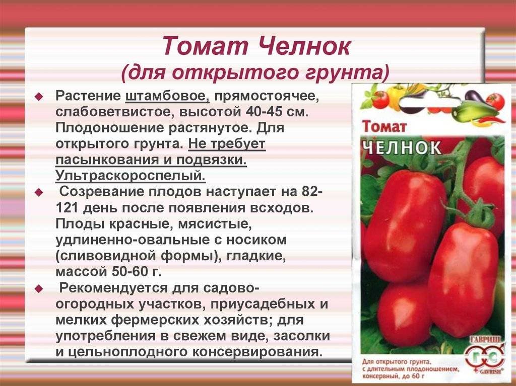 Описание сорта томата пигмей и особенности выращивания